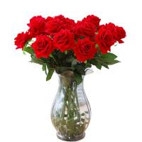 uploads/erp/collection/images/Home Garden/CongDing/XU0611782/img_b/XU0611782_img_b_5